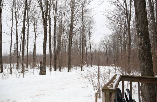 Westboro Cabin | Off grid solar a-frame cabin Northwoods Farm Stay Hundreds of Acres to Explore