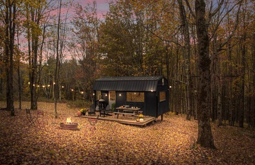 Bovina Center House | Off-Grid Tiny Cabin with Cozy Vintage Charm