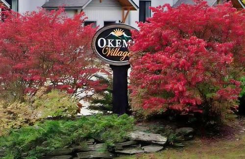 Ludlow Apartment | Okemo Village B5