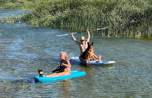 Olancha RV Rental | Olancha Lakeside Tent Site #4 in Eastern Sierras