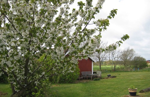 Storlinge House | Öland between windmill and nature reserve