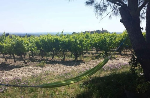 Cairanne Other | Old farm in the middle of the vineyards