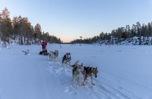 Keminmaa Resort | Old Pine Husky Lodge