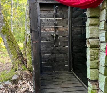Hara Cabin | Old Silent