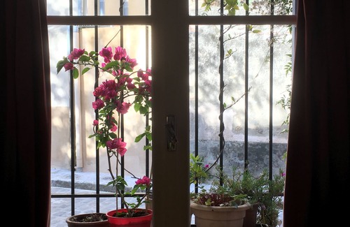 Ceret House | Old town centre house; wine bar & cafes 50m, sea 30mins Pyrenees close