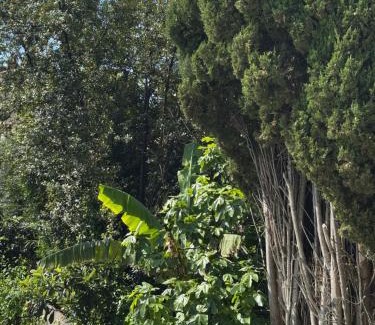 Antibes Old Town Apartment | Old town-Exceptional Apartment-in absolute calm