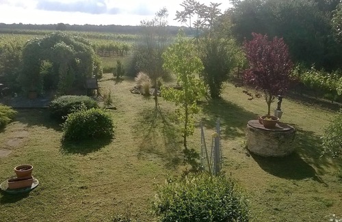 Saint-Romain-de-Benet House | Old, Traditional, Charentaise House, Peaceful Vineyard Location