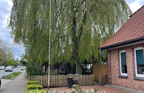 Oldau House | "Oldau's Little Nest"