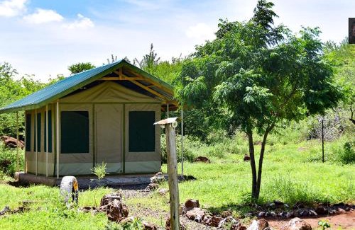 Kajiado County Other | Oldonyo Musa Amboseli Campsite