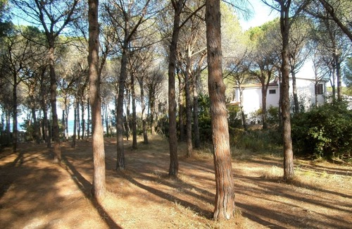 Cala Liberotto Apartment | OLEANDER DIRECT BEACH ACCESS (NO WIFI) CIN IT091063C2000S5144