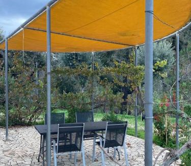 Baiona House | Oleiro de Cima