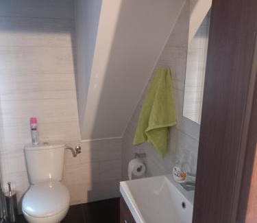 Strekowizna Apartment | Olesiówka