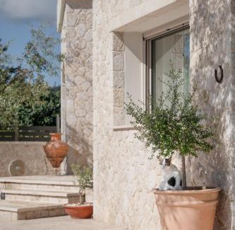 Corfu Apartment | Olithos 2