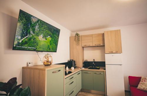 Zalau Apartment | Oliv Apartament