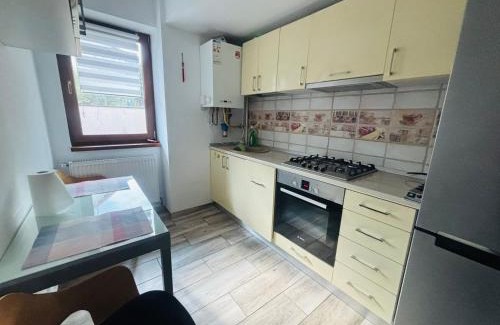 Nord-Est Apartment | Olive Apartament 4