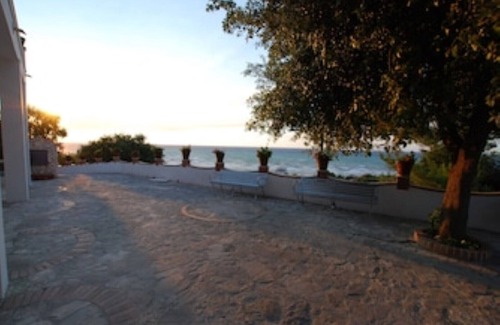 Rodi Garganico Apartment | Olive tree - Apartments in old farmhouse