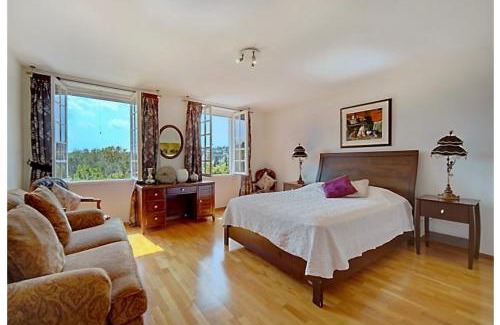 Grasse Villa | Olive tree garden villa with heated swimming pool and jacuzzi