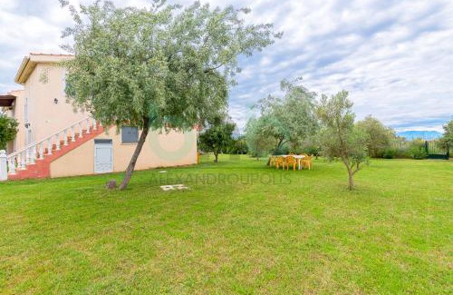 Alexandroupoli House | 'Olive Tree Resort'