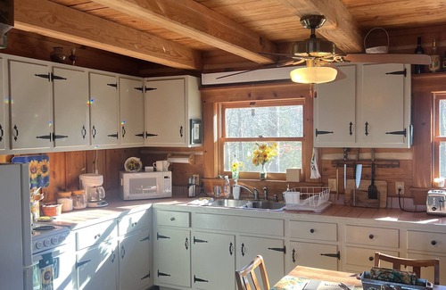Houston Cabin | Oma's Cabin on Arkansas River - cozy remote cabin overlooking the Arkansas River