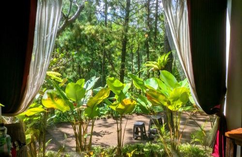 Sukapura Cabin | Omah kayu bromo