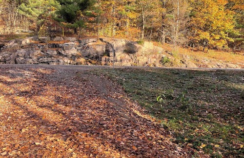 Dorset Cottage | On Lake of Bays! Walking distance to the Dorset look out tower and town.