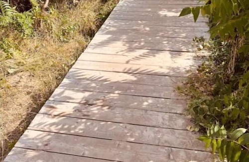 Pointe-du-Chene Cabin | On Pointe!