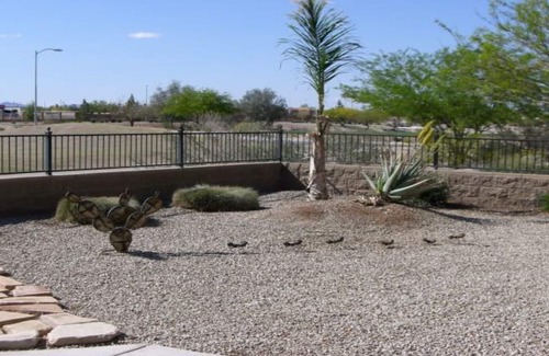 Mission Royale House | On The 14th Green ~ BEAUTIFUL WINTER VACATION HOME IN MISSION ROYALE CASA GRANDE