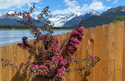 North Douglas Apartment | On the Mendenhall Wildlife Refuse - bird migration flyway, eagle nests.