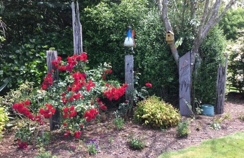 Hawera Cottage | On the out skirts of Hawera