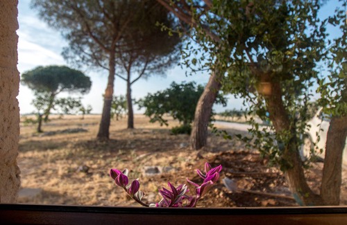 Giorgilorio House | Once Upon a Time in Masseria Sitamara