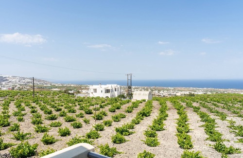 Santorini Apartment | One-Bedroom Apartment with Vineyard & Sea View