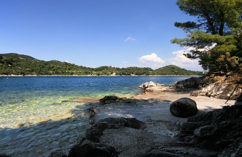 Sobra Apartment | One bedroom apartment near beach Sobra, Mljet (A-7531-b)