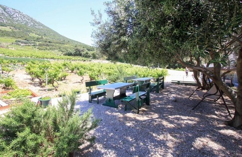 Orebic Apartment | One bedroom apartment near beach Dingač - Borak, Pelješac (A-18060-b)