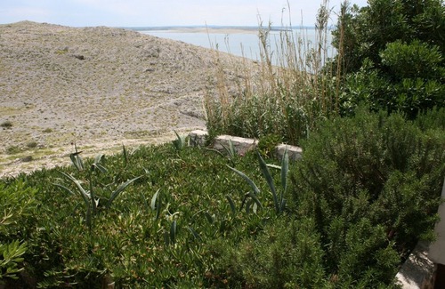 Smokvica Apartment | One bedroom apartment with terrace and sea view Cove Smokvica, Pag (A-6314-a)