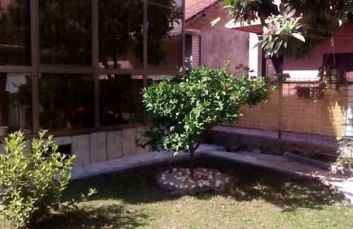 Zaboric Apartment | One bedroom apartment with terrace Žaborić, Šibenik (A-8368-c)