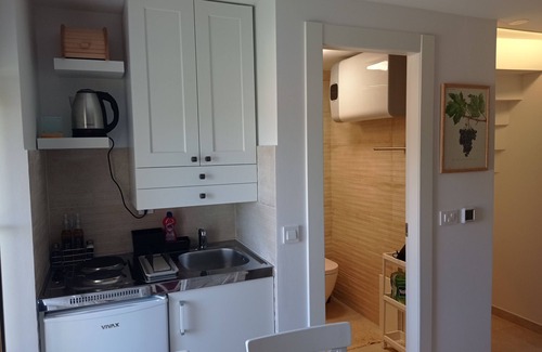 Pitve Apartment | One bedroom apartment with air-conditioning Pitve, Hvar (A-22114-b)