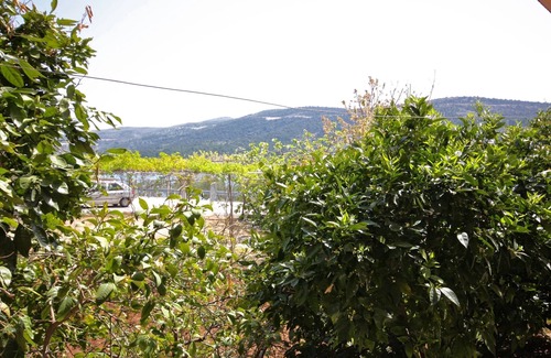 Marina Apartment | One bedroom apartment with terrace Marina, Trogir (A-6116-a)