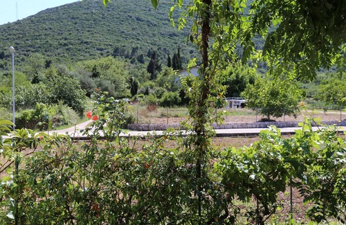 Mali Ston Apartment | One bedroom apartment with terrace Mali Ston, Pelješac (A-10226-b)