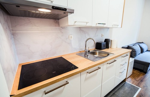 Brezice Apartment | One Bedroom Apt With Sofa Bed 2