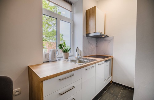 Brezice Apartment | One Bedroom Apt With Sofa Bed 3