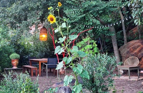 La Capelle-et-Masmolene House | One foot in the forest
