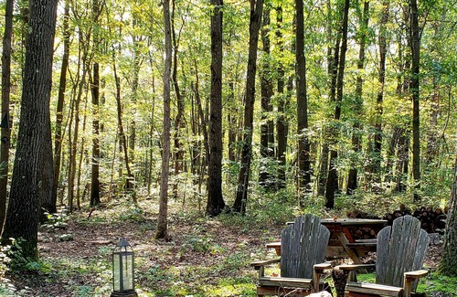 Jones Mills Cabin | One of a kind, private, beautiful rustic cabin in the Laurel Highlands