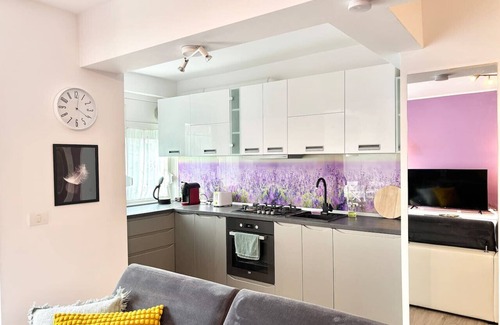 Old City Apartment | Opera Lavendel. 2 Large rooms Center King-size bed
