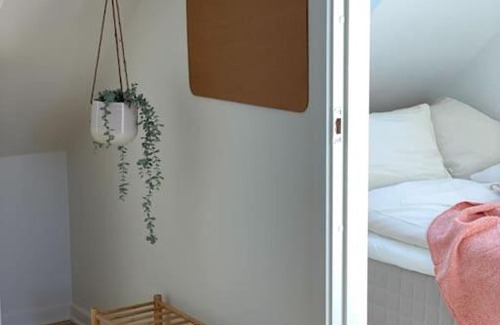 Odense Apartment | Ophold i hjertet af Odense!