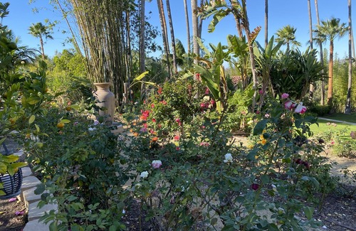 Covenant Cottage | Orange Blossom Guesthouse - in the heart of Rancho Santa Fe, CA.