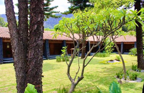 Santo Domingo Hotel | Orgánico Hotel Boutique TEPOZTLÁN