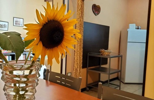 Castellammare di Stabia Apartment | Organic breakfast in the garden, Vesuvius view
