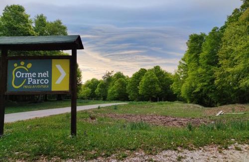 Zagarise Other | Orme nel parco - Villaggio Grechi