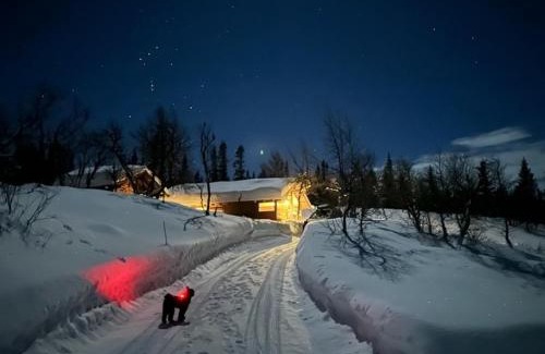 Al Municipality House | Orrelie by Norgesbooking - cabin with a lovely view