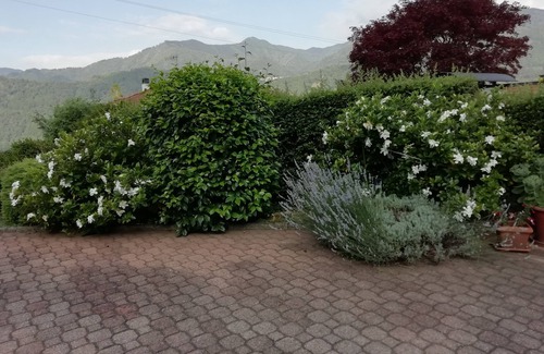 Crabbia Apartment | Orta See apartment in villa, garden overlooking the lake and beach Pettenasco